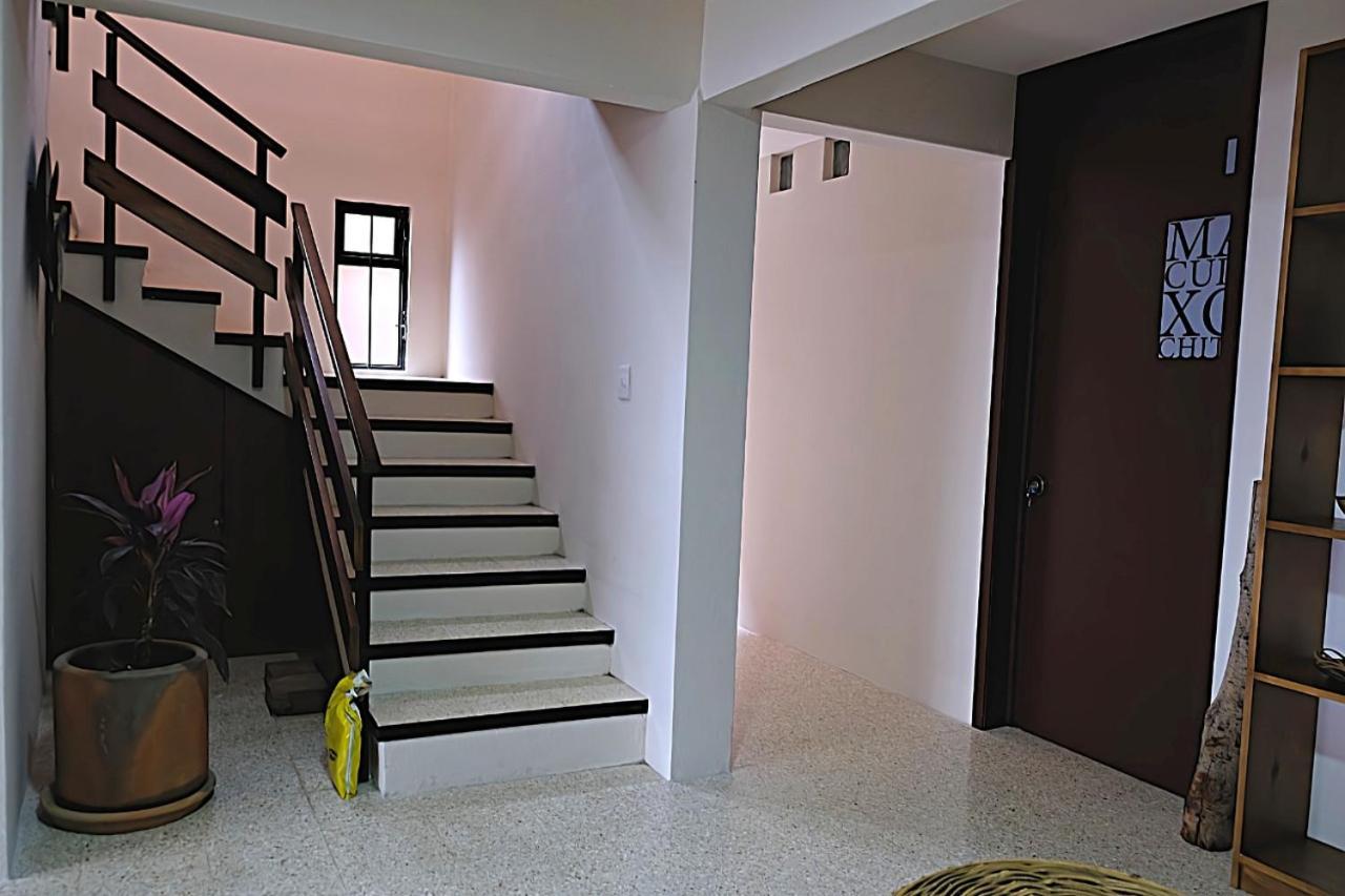 Casa Cronica Apartment Oaxaca Bagian luar foto